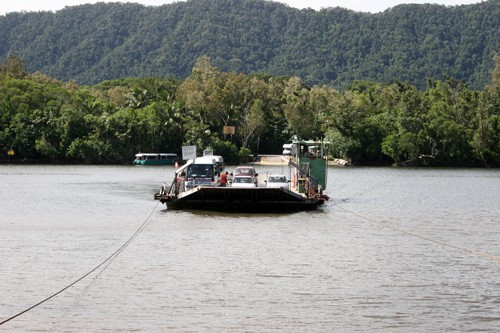 The Daintree River Ferry